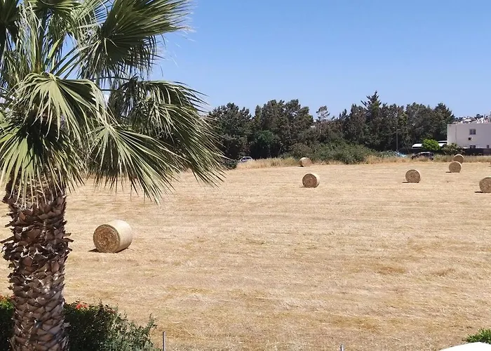 In The Sun شقة بافوس